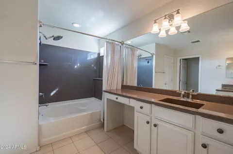 Bath - 11040 E Tumbleweed Ave, Mesa, AZ 85212 photo 8 of 10
