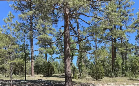 2004 Sugar Pine Dr #206, Happy Jack, AZ 86024