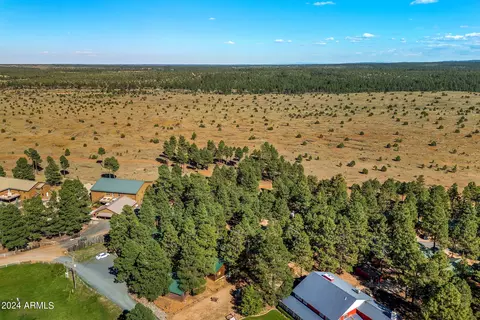 2708 High Pine Loop, Overgaard, AZ 85933 photo 23
