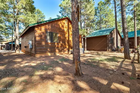 2708 High Pine Loop, Overgaard, AZ 85933 photo 19