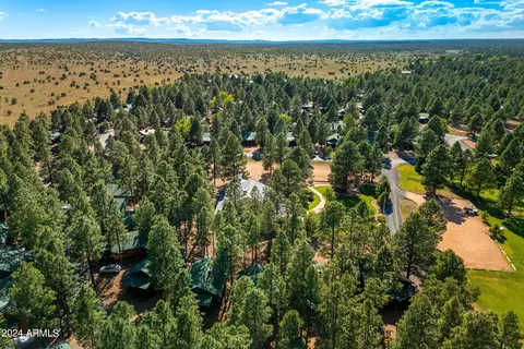 2708 High Pine Loop, Overgaard, AZ 85933 photo 21