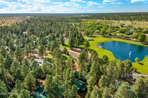 2708 High Pine Loop, Overgaard, AZ 85933 photo 22