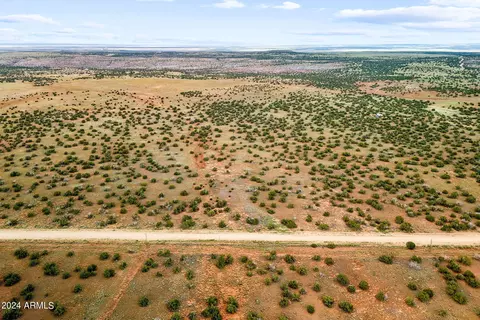tbd 202-28-002 County Road 6040 Rd #2, Saint Johns, AZ 85936
