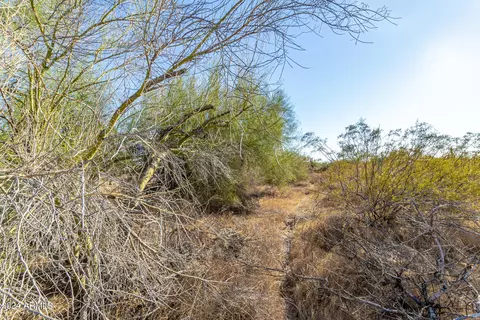 107 E Nn E Quarterline Rd E #-, Mesa, AZ 85207 photo 8