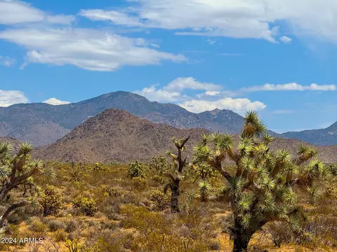 tbd Billy The Kid Rd 80 Acres -- #-, Lake Havasu City, AZ 86406