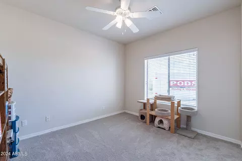 9269 N Diffin Rd, Florence, AZ 85132 photo 23