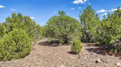 84 County Road N3133 Rd #85, Vernon, AZ 85940