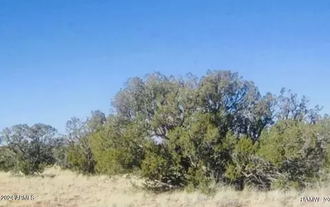 tbd Squaw Tank Vista Dr #-, Heber, AZ 85928