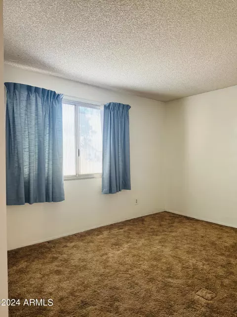 702 E Carmen St, Tempe, AZ 85283 photo 15