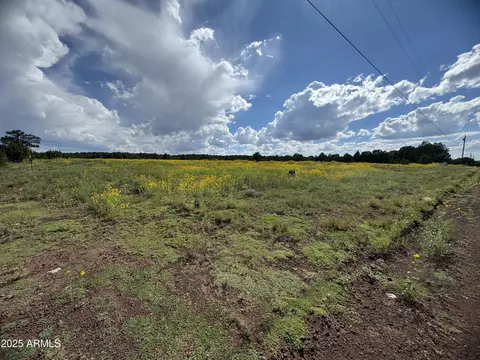 20 County Road 8405 Parcel C -- #B, Vernon, AZ 85940