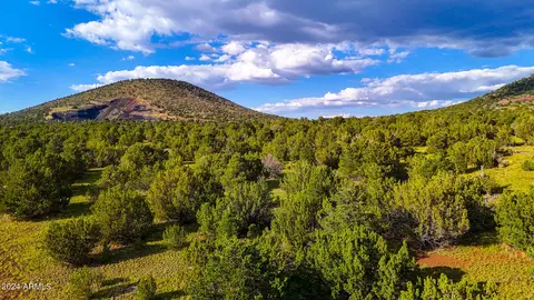 5786 N Wilshire Dr #654, Williams, AZ 86046