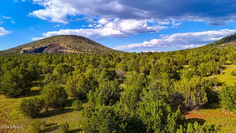 5762 N Wilshire Dr #655, Williams, AZ 86046