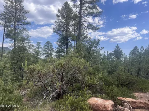 0000 N Mistletoe -- #LOT Q, Pine, AZ 85544