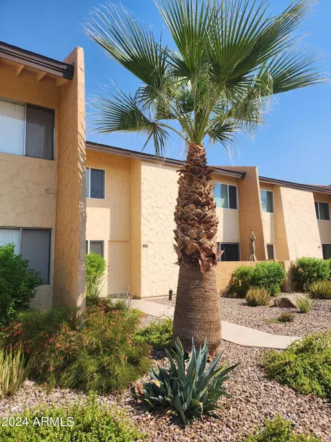8055 E Thomas Rd E #E118, Scottsdale, AZ 85251