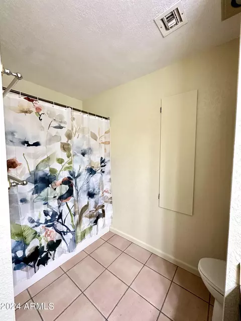 10337 E Brown Rd, Mesa, AZ 85207 photo 17
