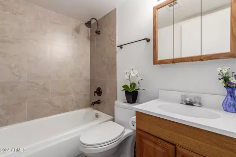 407 E Watson Dr, Tempe, AZ 85283 photo 21