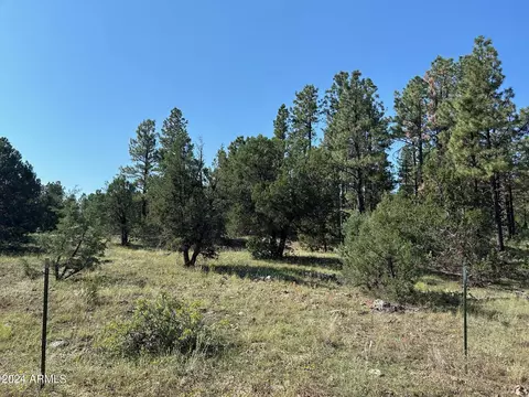 4 N3305 -- #001, Vernon, AZ 85940