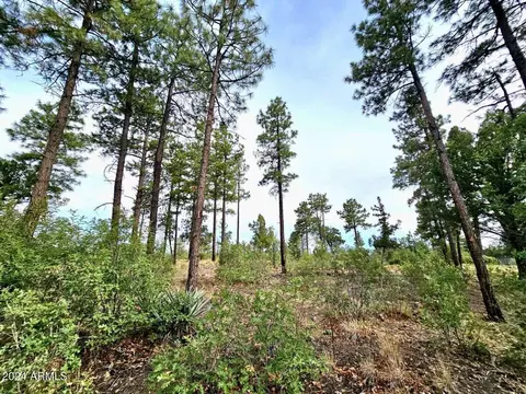 1219 Turkey Hill Rd #-, Pinedale, AZ 85934