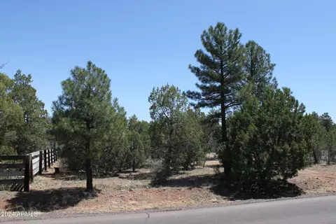 16 Th Ave 182 Acres -- #5, Show Low, AZ 85901
