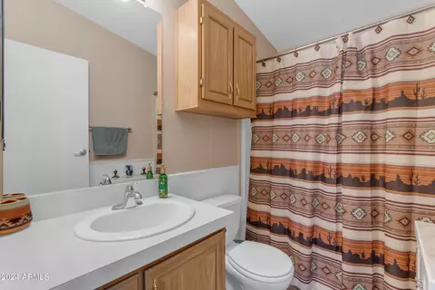 3500 S Tomahawk Rd #169, Apache Junction, AZ 85119 photo 22