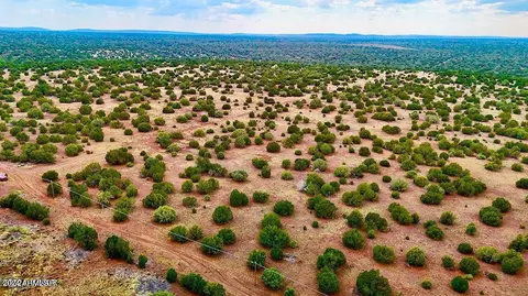 0 Silver Lake Blvd 2485 Acres -- #-, Show Low, AZ 85901