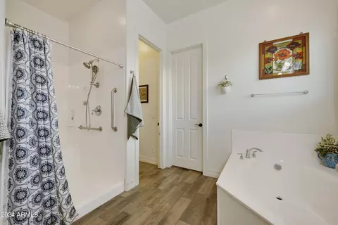 10356 E Tiburon Ave, Mesa, AZ 85212 photo 16