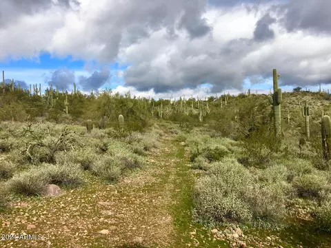 3353 W Roughrider 5 Ac Rd #-, New River, AZ 85087
