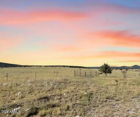 24101 W Crooked Horse Trl, Seligman, AZ 86337