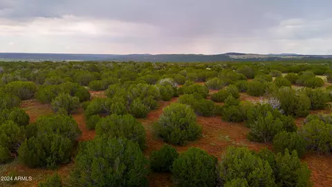 tbd Rebel Yell Rd 10 Acres -- #-, Show Low, AZ 85901