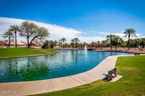 4173 E Cholla Canyon Dr, Phoenix, AZ 85044 photo 45