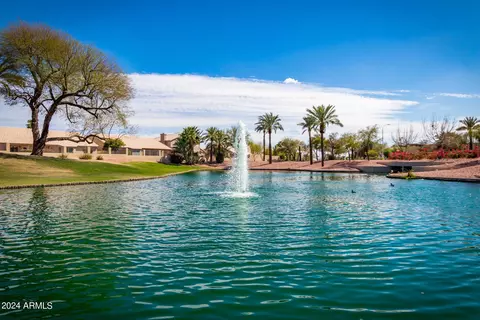 4173 E Cholla Canyon Dr, Phoenix, AZ 85044 photo 46