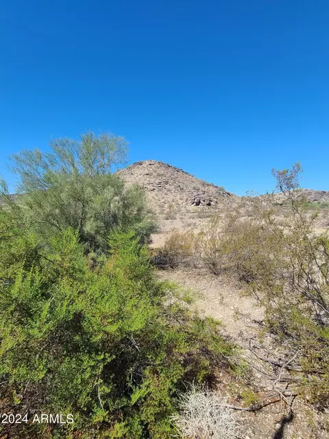 9406 S 43rd Pl, Phoenix, AZ 85044 photo 61