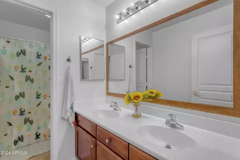 Bath - 3294 E Blue Ridge Way, Gilbert, AZ 85298 photo 3 of 3