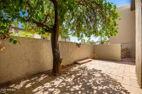 4201 E Camelback Rd #35, Phoenix, AZ 85018 photo 4