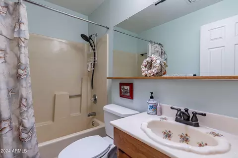 Bath - 9645 E Brown Rd, Mesa, AZ 85207 photo 1 of 4