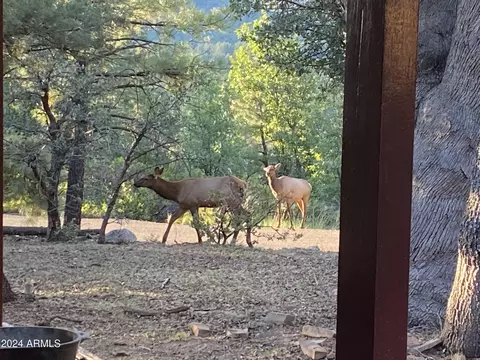 4838 N Rim View Loop, Strawberry, AZ 85544