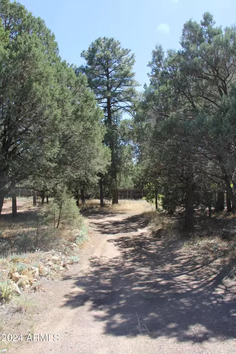 4081 W Cooley St #133, Show Low, AZ 85901