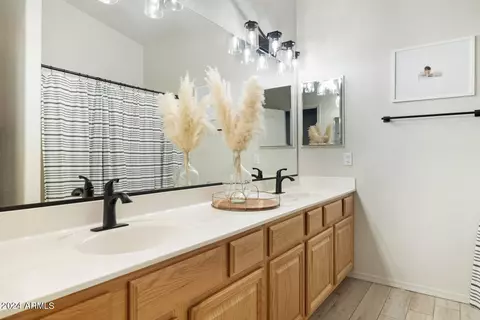 239 E Pinto Ct, Gilbert, AZ 85296 photo 19
