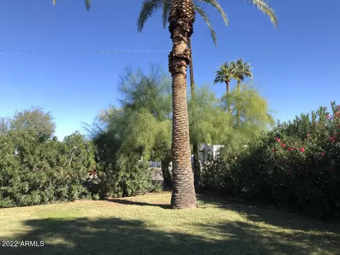 921 E Weldon Ave, Phoenix, AZ 85014 photo 7