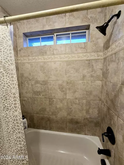 3209 E Tonto Ln, Phoenix, AZ 85050 photo 32