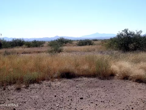 tbd E Cll Francisco Rd #84, Douglas, AZ 85607