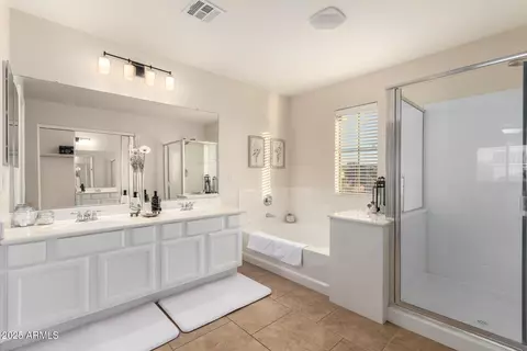 Bath - 1232 E Strawberry Dr, Gilbert, AZ 85298 photo 2 of 4