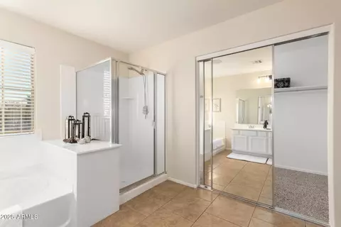 Bath - 1232 E Strawberry Dr, Gilbert, AZ 85298 photo 3 of 4