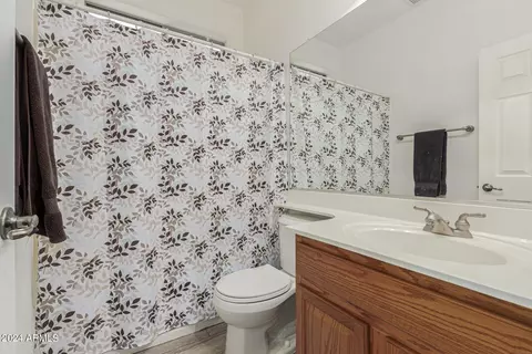 10439 E Medina Ave, Mesa, AZ 85209 photo 36