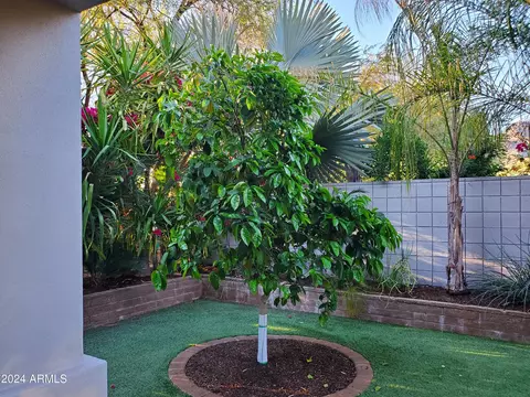 6502 N 25th Way, Phoenix, AZ 85016 photo 56