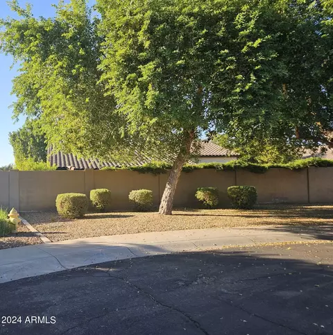 1503 S Cholla St, Gilbert, AZ 85233 photo 20