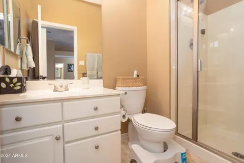 Bath - 753 E Mountain Sky Ave, Phoenix, AZ 85048 photo 4 of 5