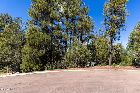 4750 S Pine Way #8, Show Low, AZ 85901