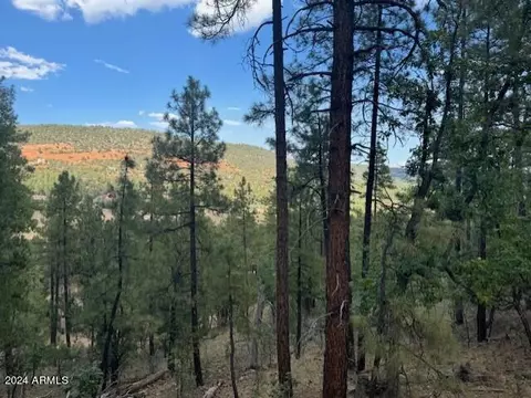 nnn Juniper Road #NN, Strawberry, AZ 85544