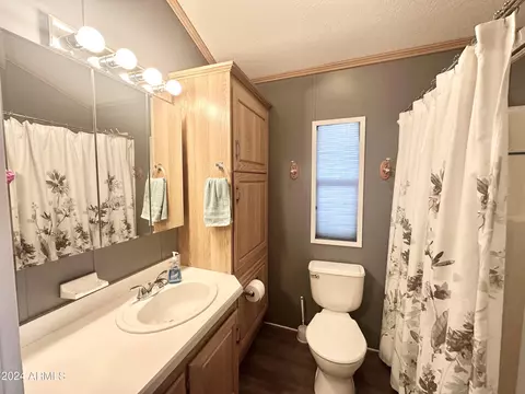 804 S Cinnabar Dr, Apache Junction, AZ 85119 photo 55